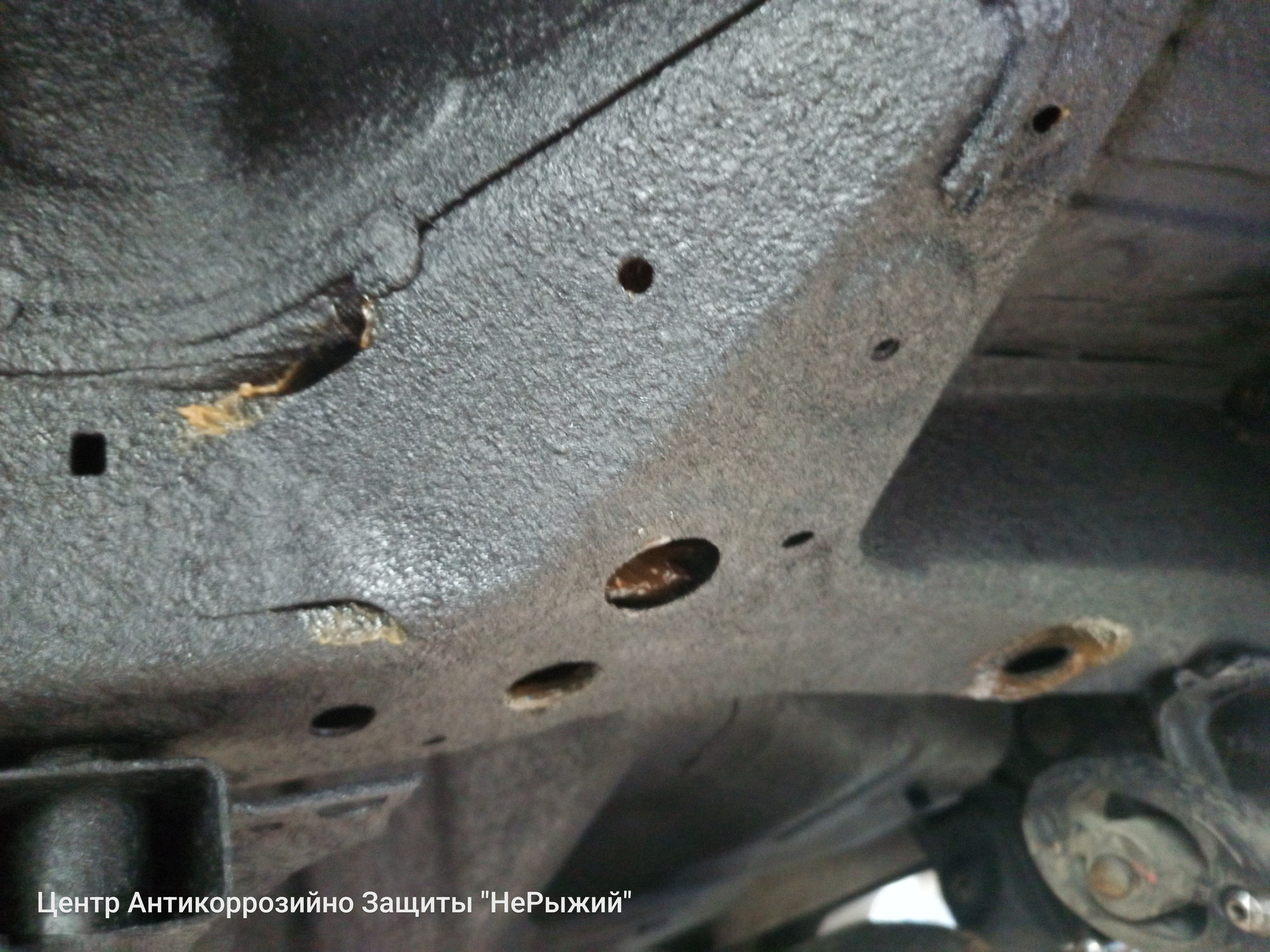 Автомобиль Honda Civic X (FC), этап: Обработка скрытых полостей.. Антикоррозийная обработка в Москве и МО — НеРыжий