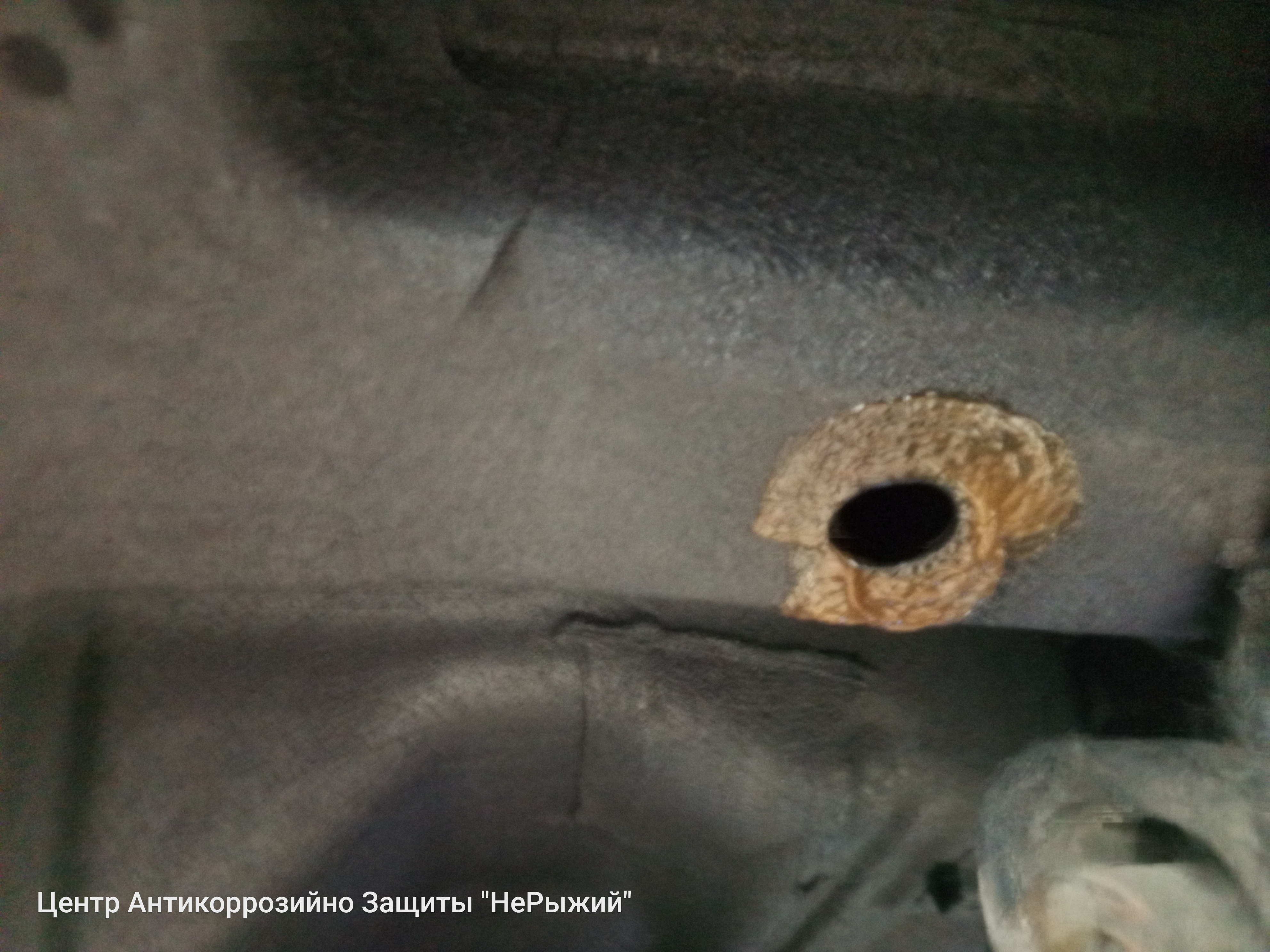 Автомобиль Honda Civic X (FC), этап: Обработка скрытых полостей.. Антикоррозийная обработка в Москве и МО — НеРыжий