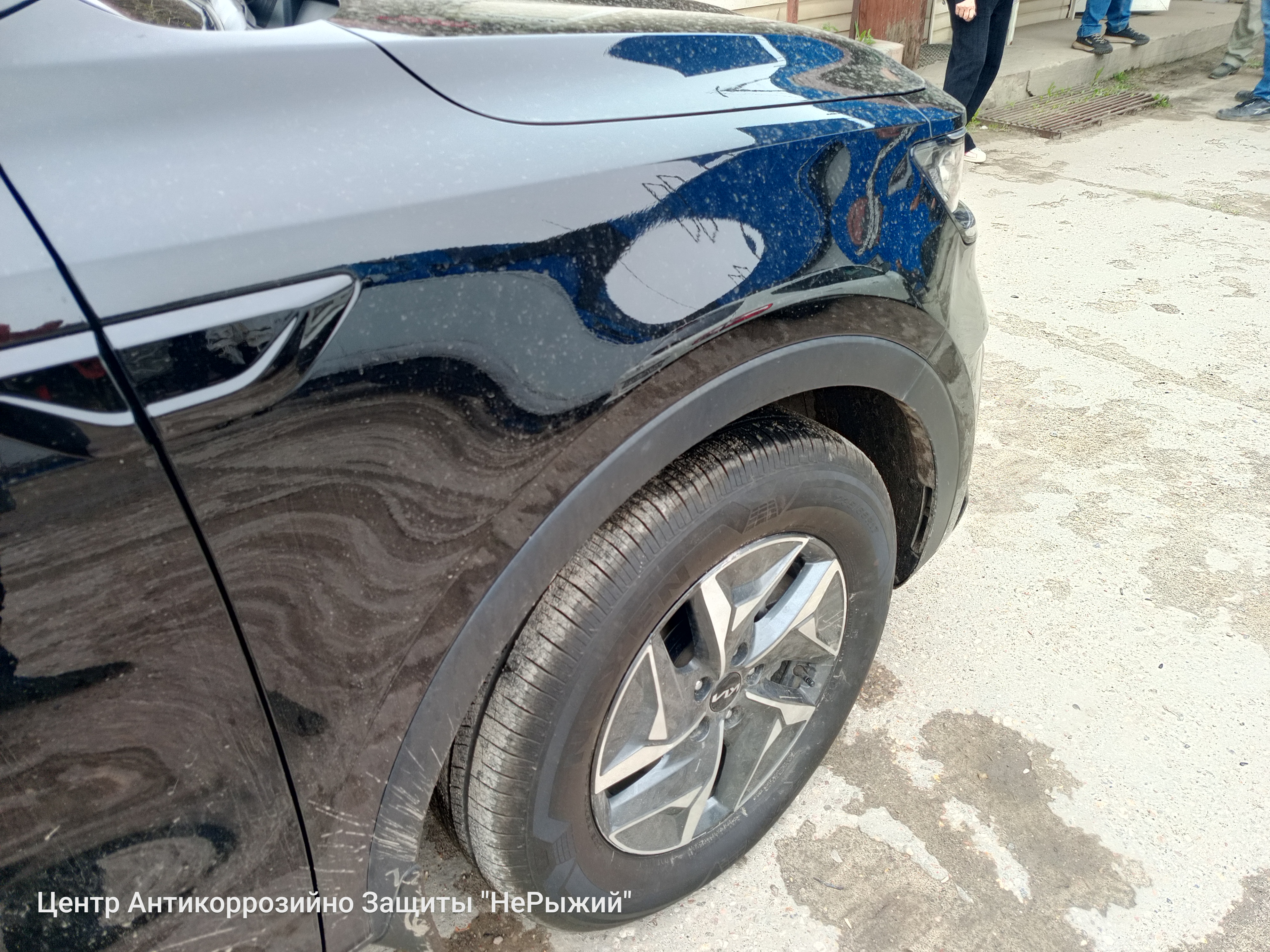 Автомобиль Kia Sorento IV (MQ4), этап: Приемка автомобиля. Антикоррозийная обработка в Москве и МО — НеРыжий