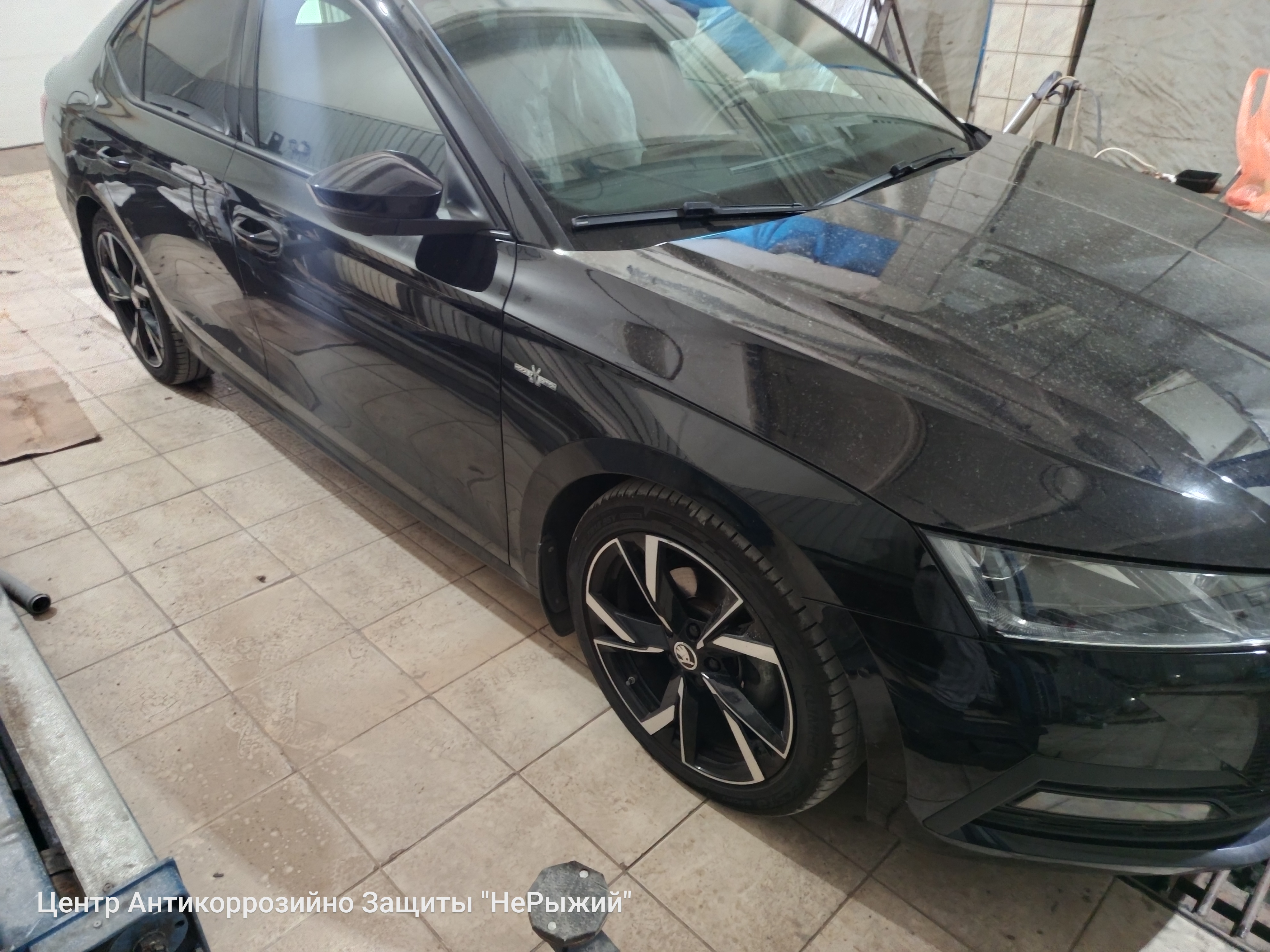 Автомобиль Skoda Octavia IV, этап: Приемка автомобиля. Антикоррозийная обработка в Москве и МО — НеРыжий