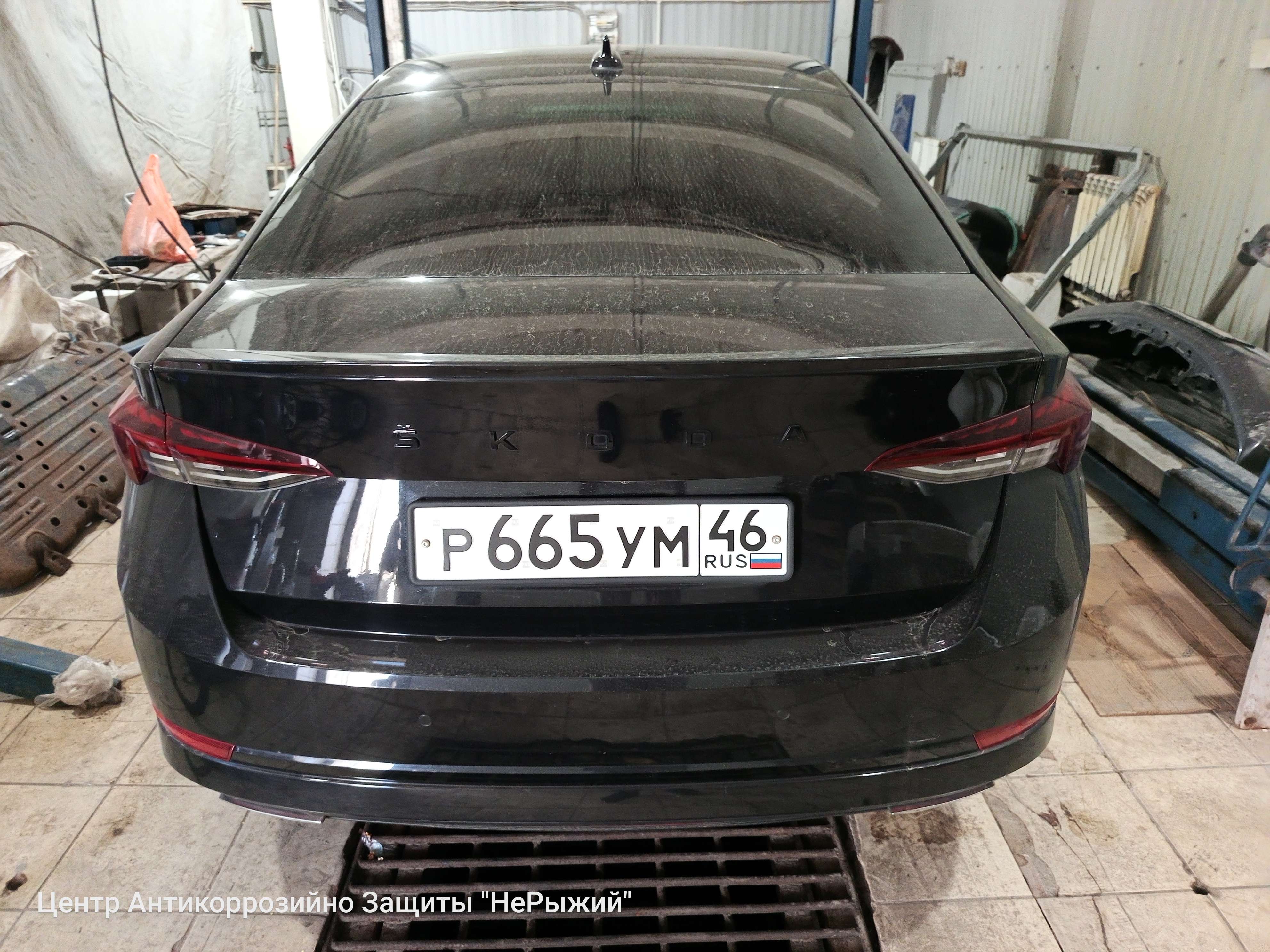Автомобиль Skoda Octavia IV, этап: Приемка автомобиля. Антикоррозийная обработка в Москве и МО — НеРыжий