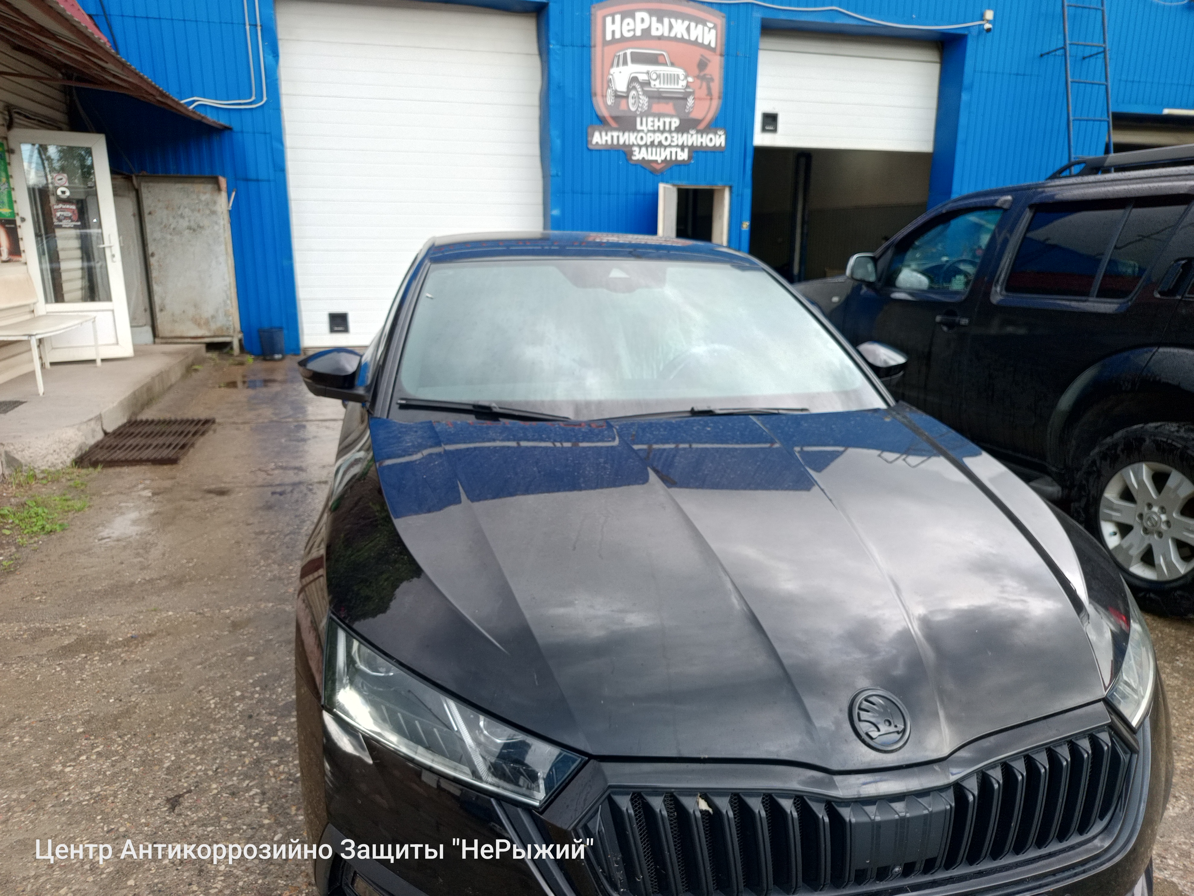 Автомобиль Skoda Octavia IV, этап: Выдача авто. Антикоррозийная обработка в Москве и МО — НеРыжий