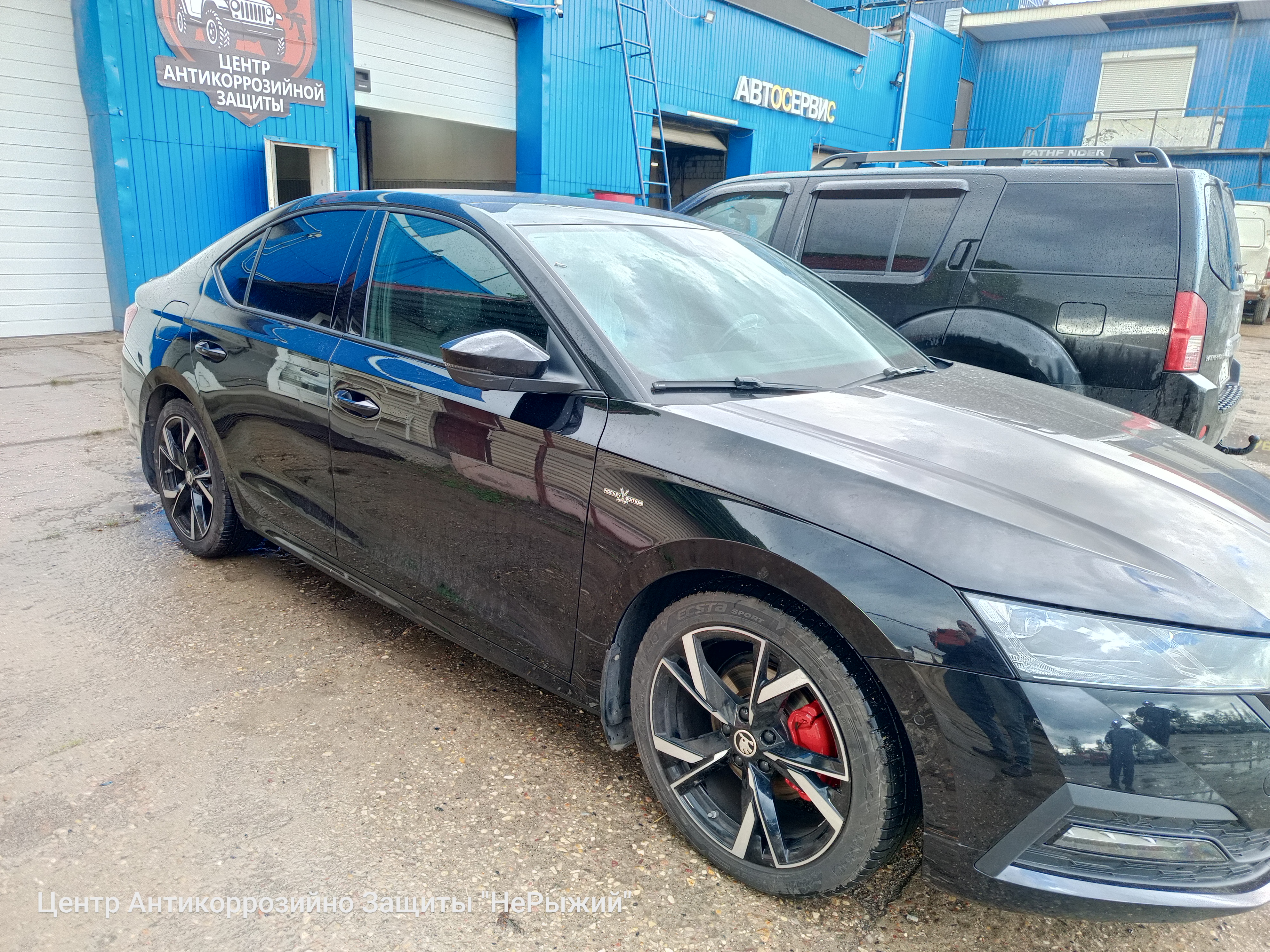 Автомобиль Skoda Octavia IV, этап: Выдача авто. Антикоррозийная обработка в Москве и МО — НеРыжий