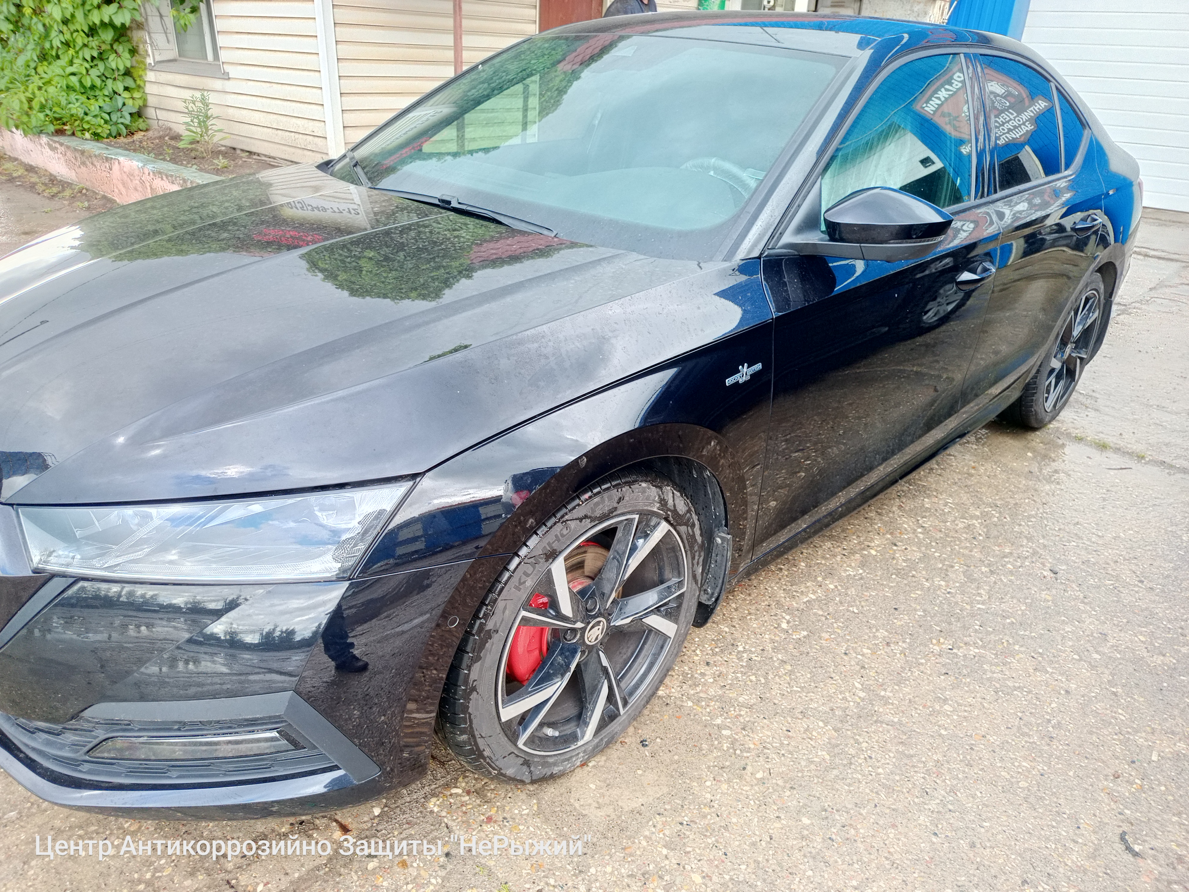 Автомобиль Skoda Octavia IV, этап: Выдача авто. Антикоррозийная обработка в Москве и МО — НеРыжий